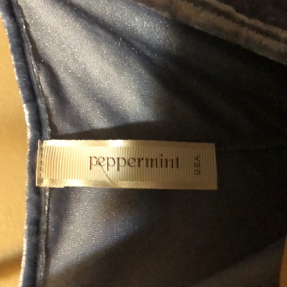 Blue Velvet Dress - Picture 2 of 2